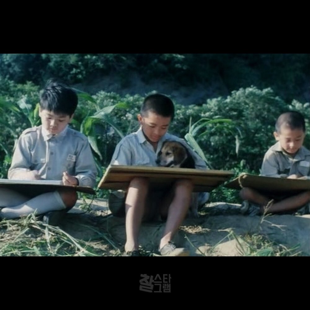 오늘의 찰스타그램 #로빙화 #대만영화 #영화추천 #영화 #안철수갤러리 #안철수 http://instagram.com/mv_chalgall #팔로팔로 #휴지필수영화 ㅠㅠTranslate post