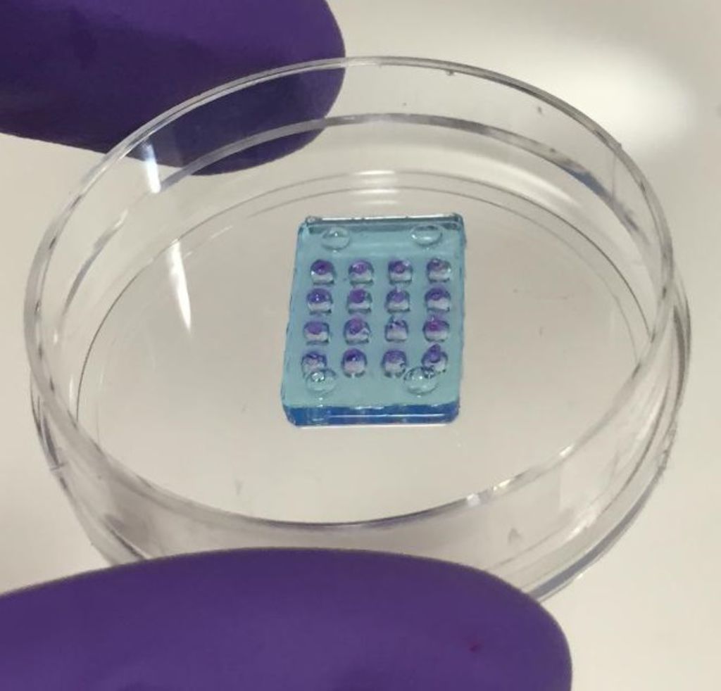 eyesroad's tweet photo. #Santé : la première rétine artificielle biologique https://t.co/jNplFyf2e7 via @Sciences_Avenir #optique #DMLA https://t.co/73h7MK6sxP