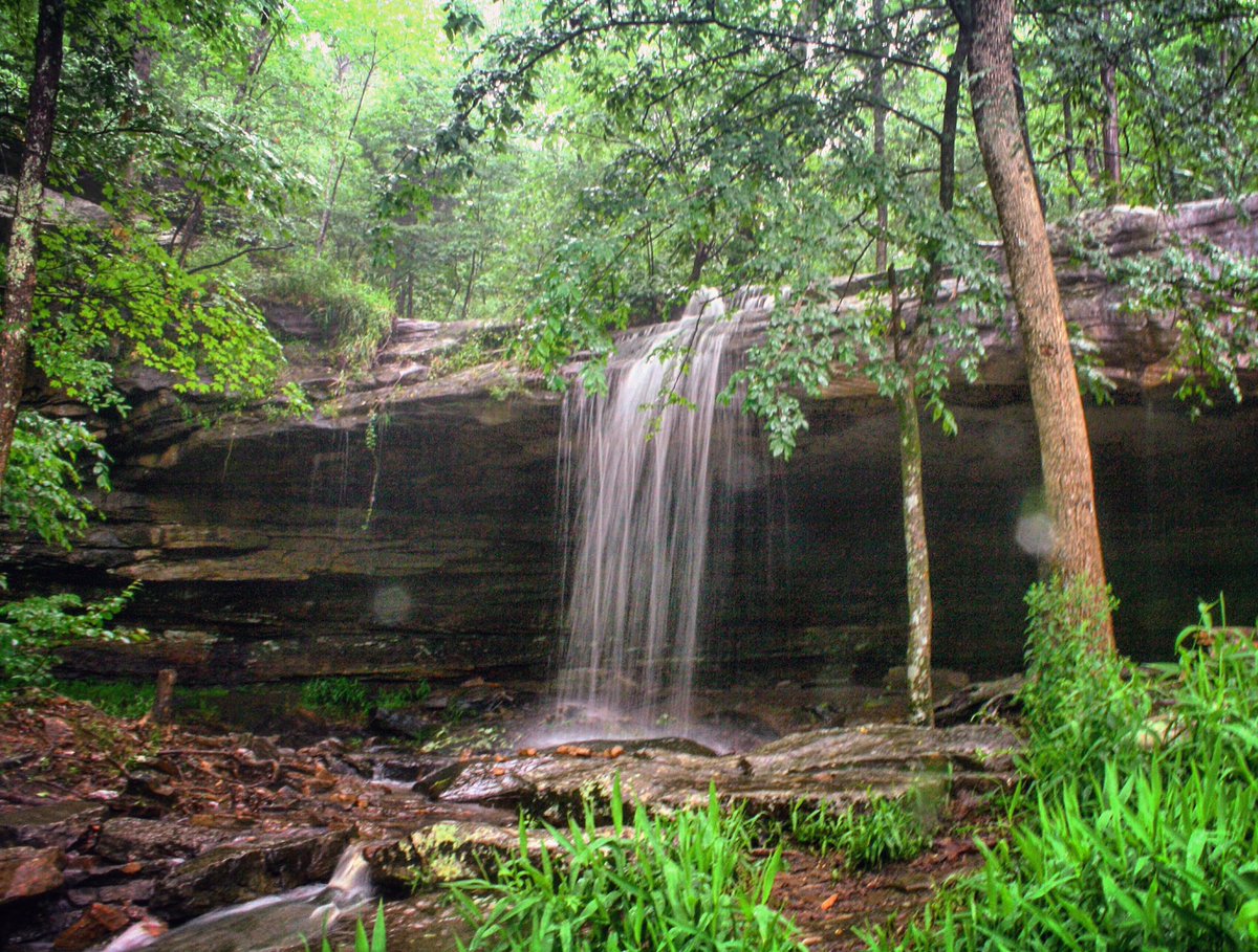 Mickel Word tweet media