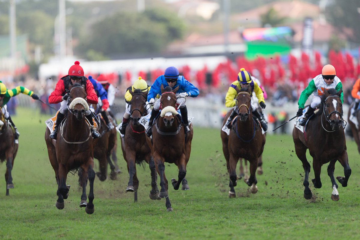 rpbloodstock's tweet photo. Hong Kong Jockey Club moves to release South Africa from its quarantine straightjacket https://t.co/vTkRHhHAXh https://t.co/BtYCodtN8r