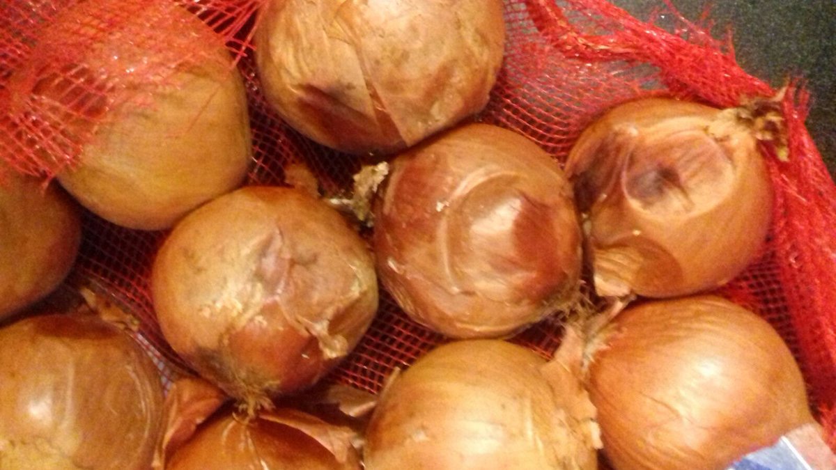 ChopPot's tweet photo. @jjfoodservice this is the type of onions they send with no apology or explanation rotten onions https://t.co/I1Y0MqFtgF