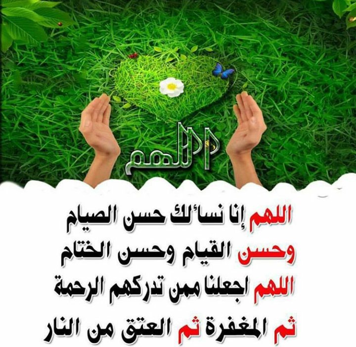 ghani_2017 tweet picture