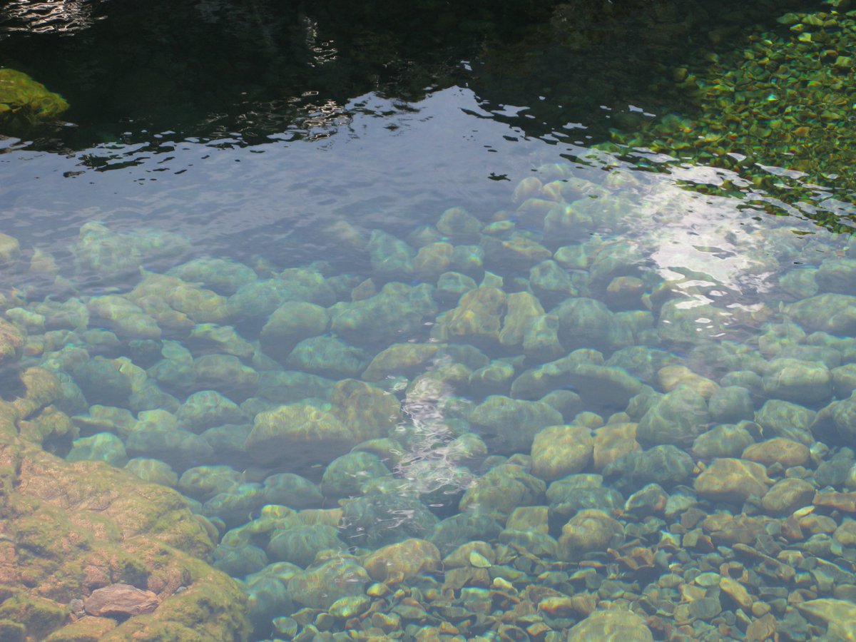 DavidSmithRSW's tweet photo. Beautiful greens and blues in a rock pool in Glen Coe. https://t.co/cFjr2hsS4c