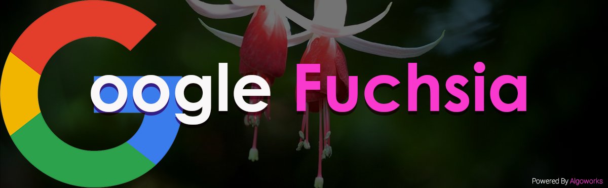 algoworks's tweet image. “#Fuchsia” - A name more than shades of pink! medium.com/all-technology… #googlefuchsia #android #googlenews #technews