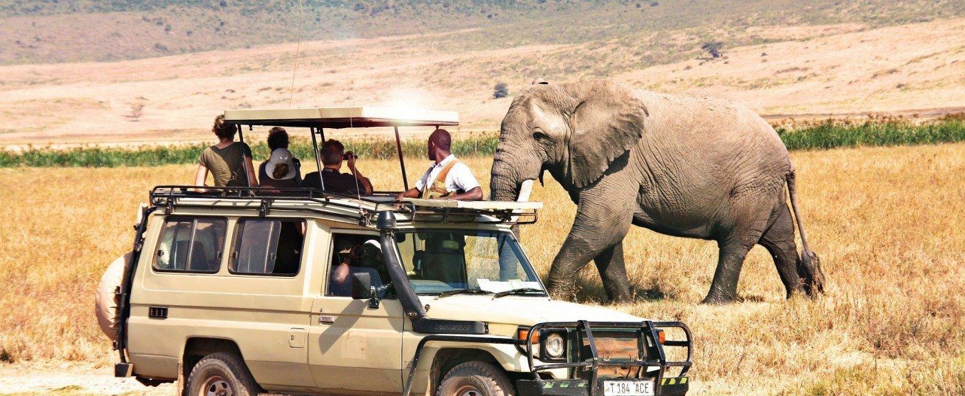 Addie Buchanan. safarianimals.net/safaris-south-africa/however-is-nice-to-h...
