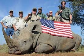 EmptyTheTank5's tweet photo. #OpFunKill game trophy hunting is an elite past time.  Only the rich participate https://t.co/Wn95bX8VK9