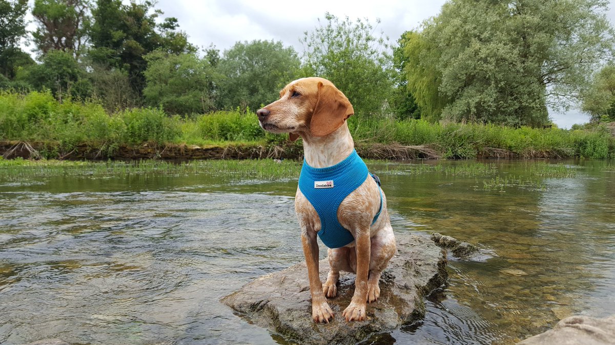 Nothing like a clear chalk bed stream for marny between takes