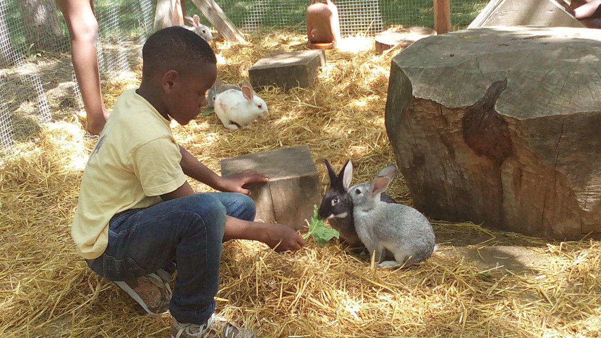 Disfrutando de la naturaleza. Animaliekin gozatzen! <a href="/PECSalburua/">PECsalburua</a>  <a href="/kalezkaleVG/">Kalez Kale</a> #granjadeusama