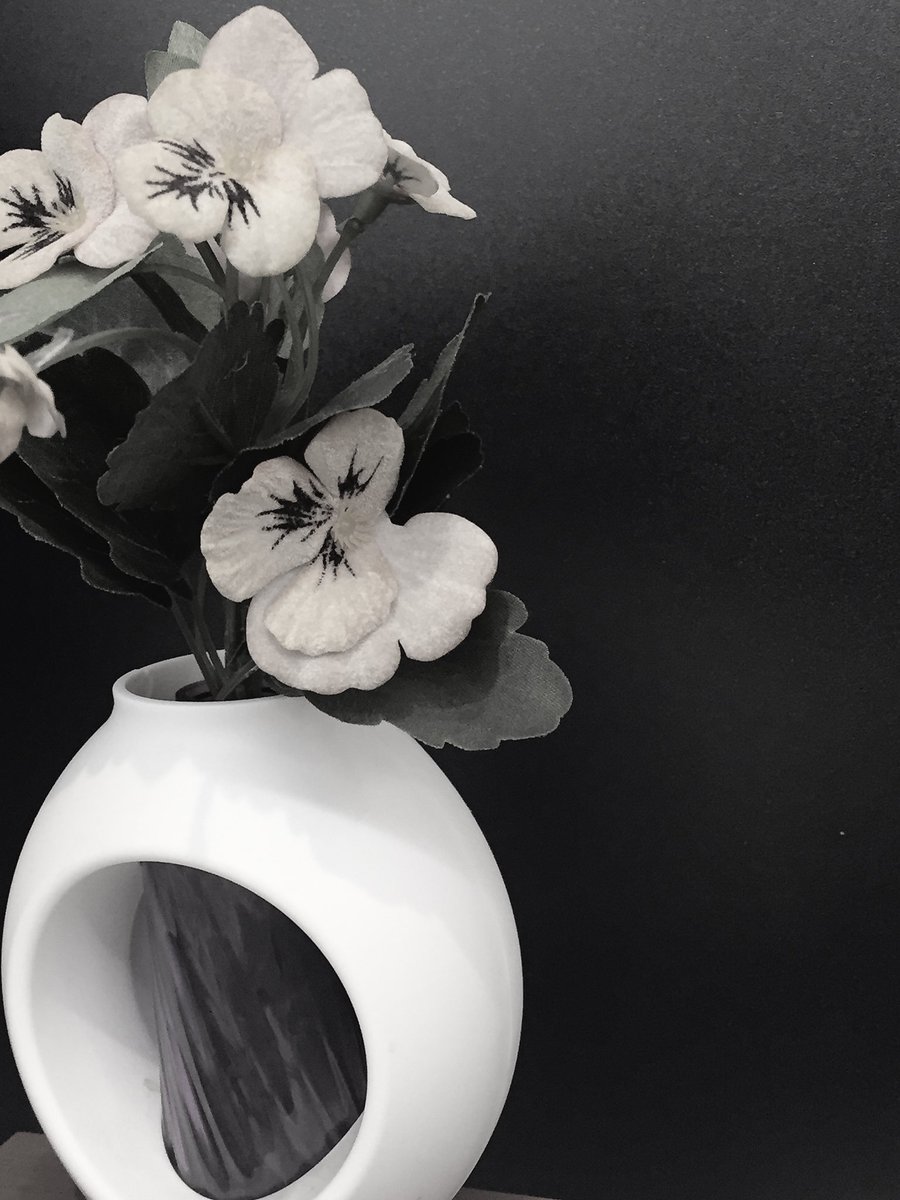 43synchronicity's tweet image. 暇つぶし。

#photographer 
#写真で伝えたい私の世界
#サブカルチャー
#写真好きな人と繋がりたい 
#写真撮ってる人と繋がりたい
#写真
#しゃしん