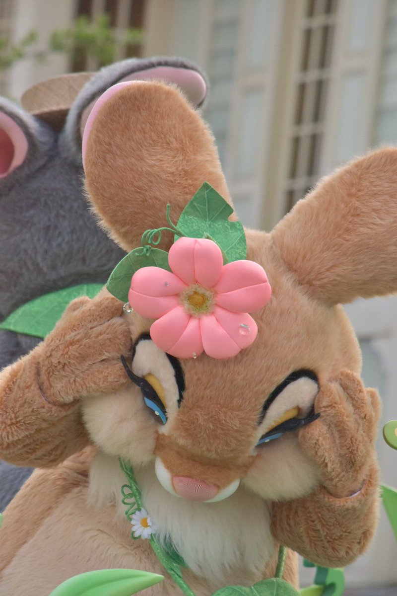 mikeyDisny's tweet photo. うさたまが頭から離れない〜〜 https://t.co/NNcvbaJN8i
