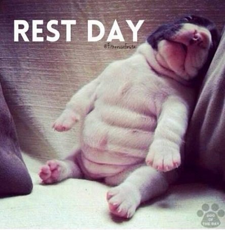 After a fruitful week... Aaaah! Rest day #Mondays! We'll be back tomorrow, folks! 
#YorkshireDales #Austwick