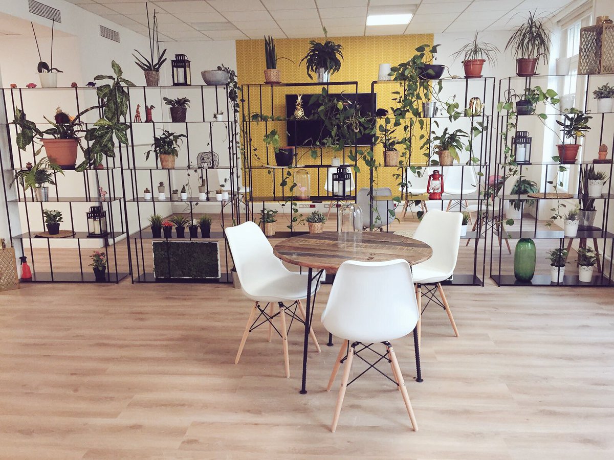 Evaneos.it tweet media