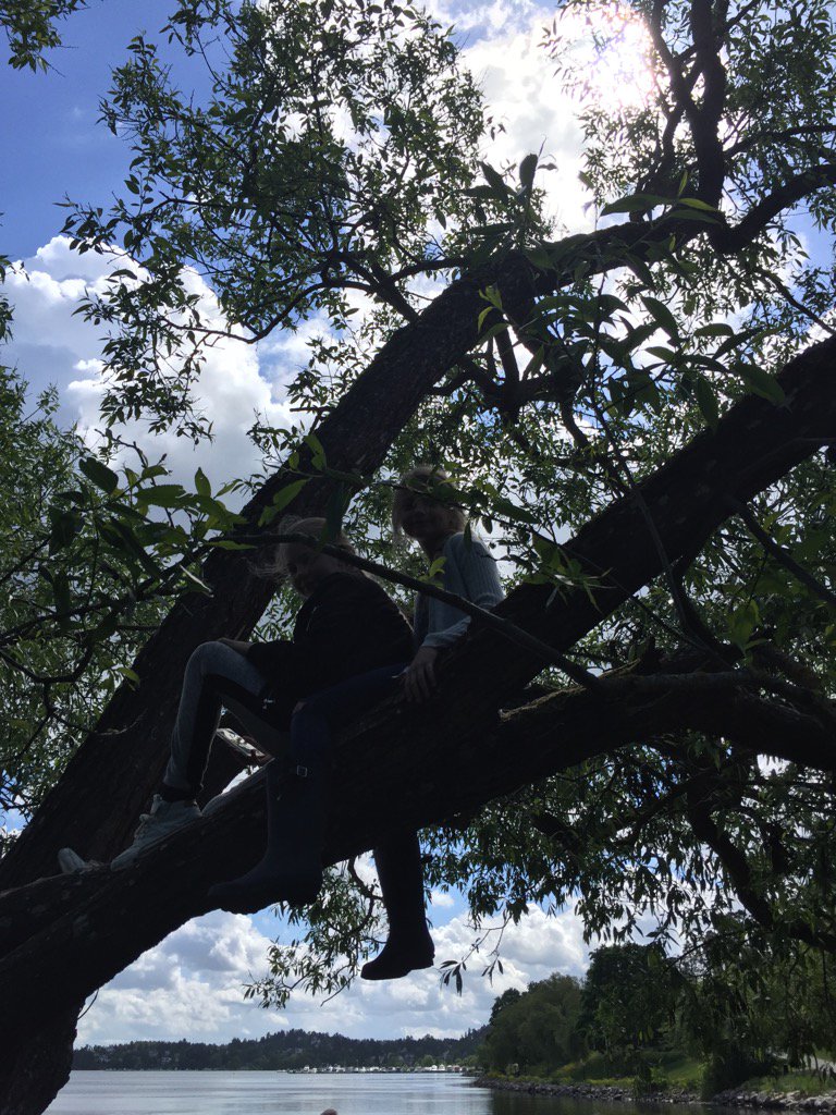 Elevens val4-6#töjnan