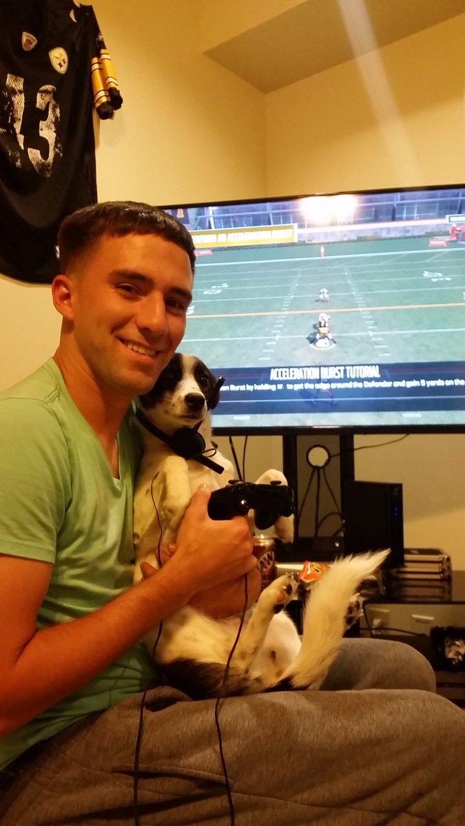 josh penberthy tweet media