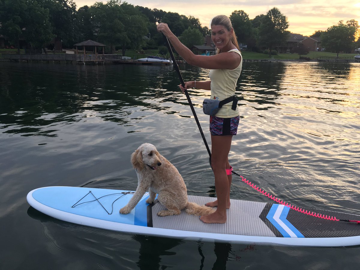 hannahwelker's tweet photo. Even dogs paddle! @wcnc @MyAlohaInc https://t.co/qorhaGph4W