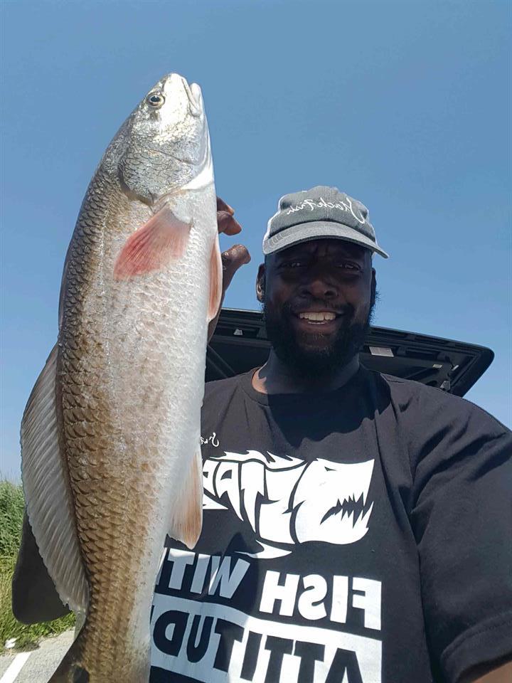 StackFishDotCom tweet picture