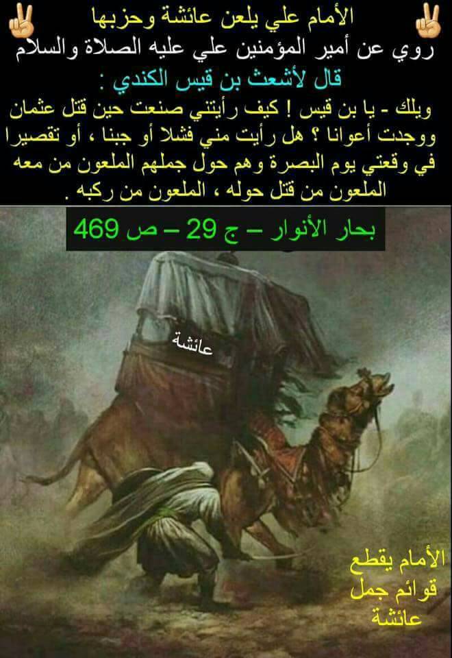 حب الحسين اجنني (@norallahali) on Twitter photo 