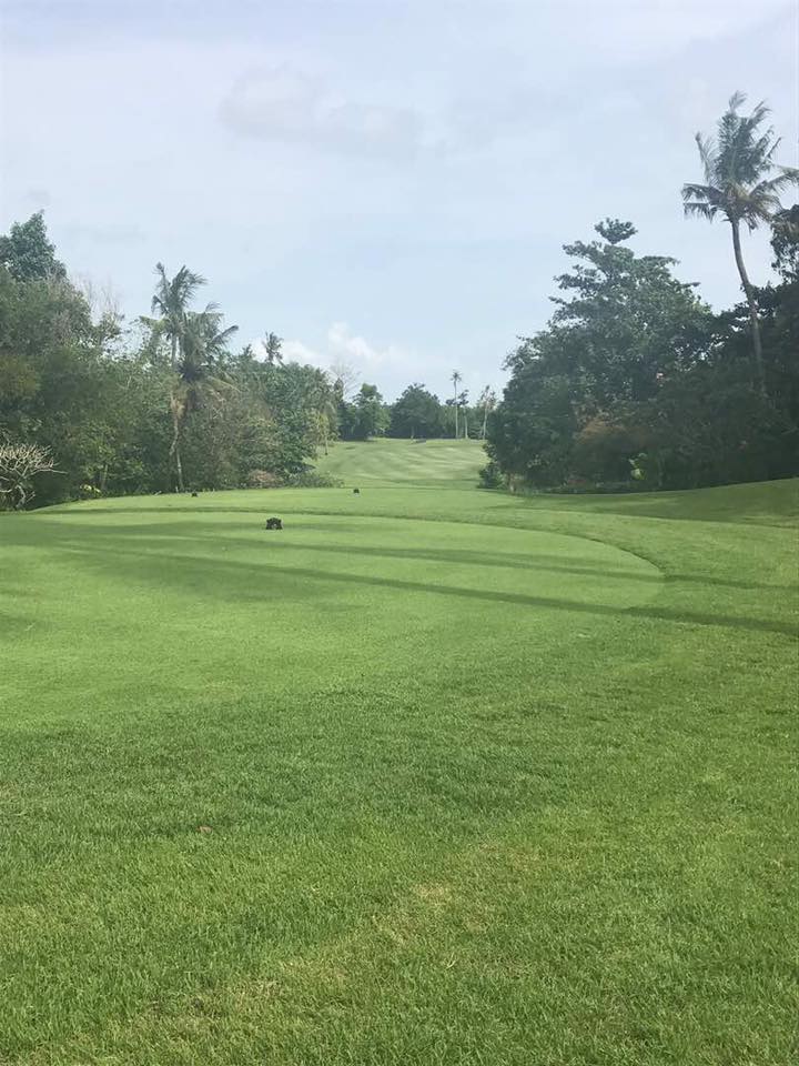 nirwanabaligolf's tweet photo. With each sunrise begins a new a day #Golf #Bali #WonderfulIndonesia https://t.co/PvCIH2i3BO