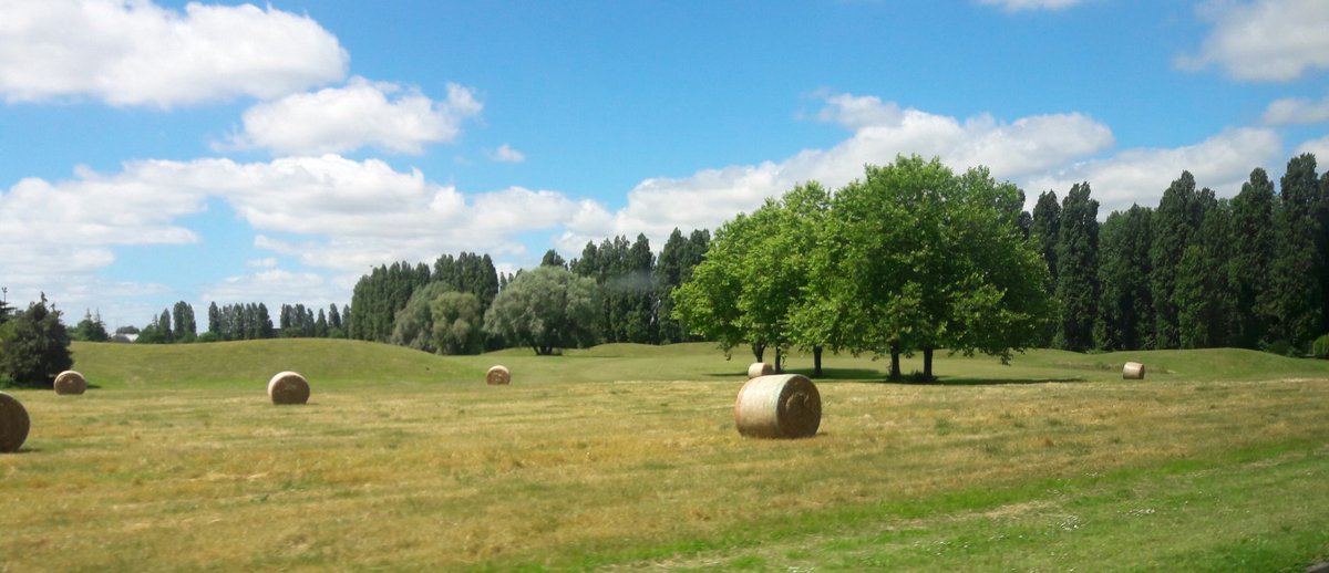 Polytechnique champêtre... 🌳🌳🌳🐎