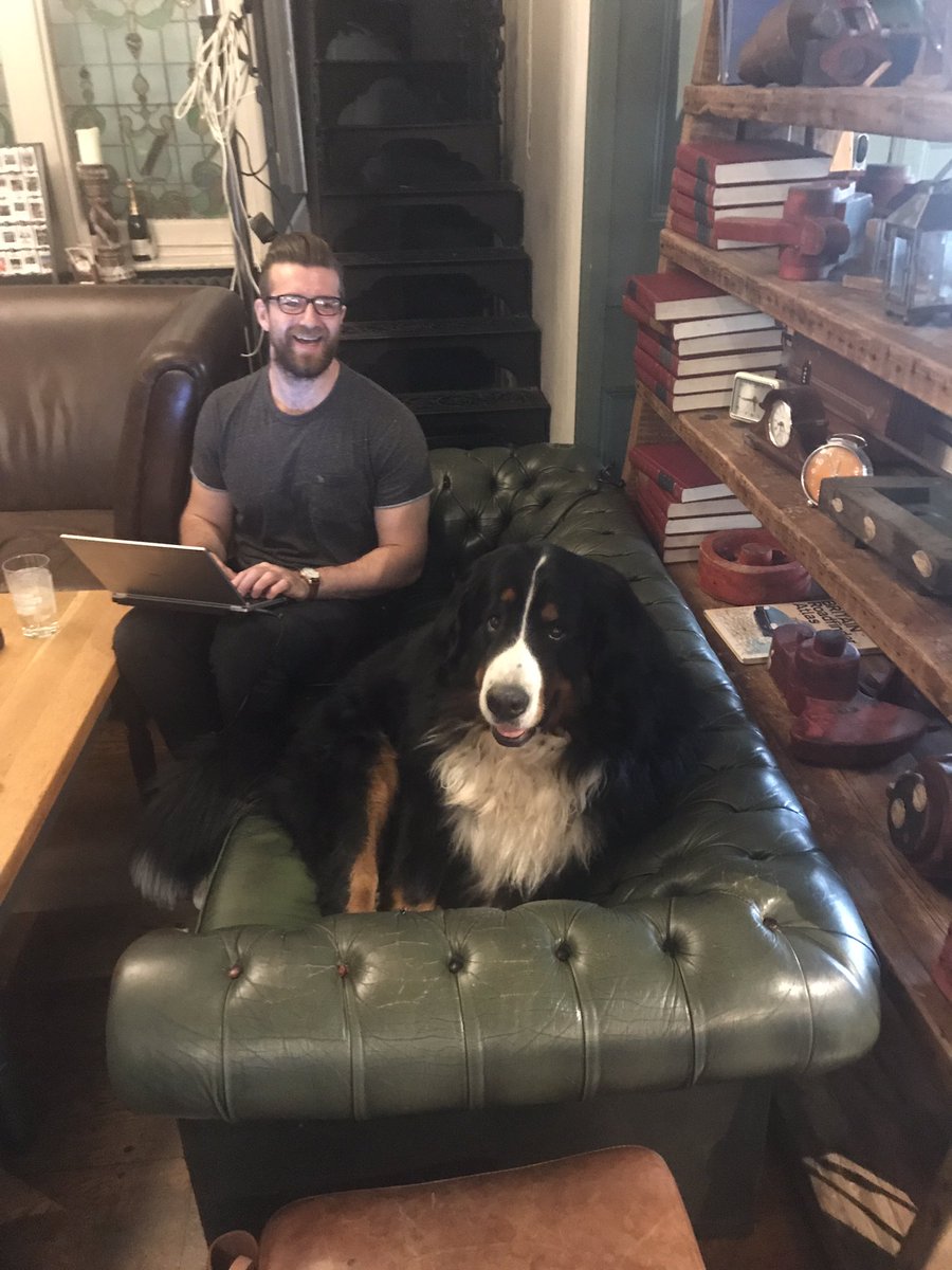 WindmillClapham's tweet photo. #pubdog Max giving Tom from marketing some advice on the. best craft dog biscuits currently on the market! #bernesemountaindog https://t.co/o4xMFFa48s