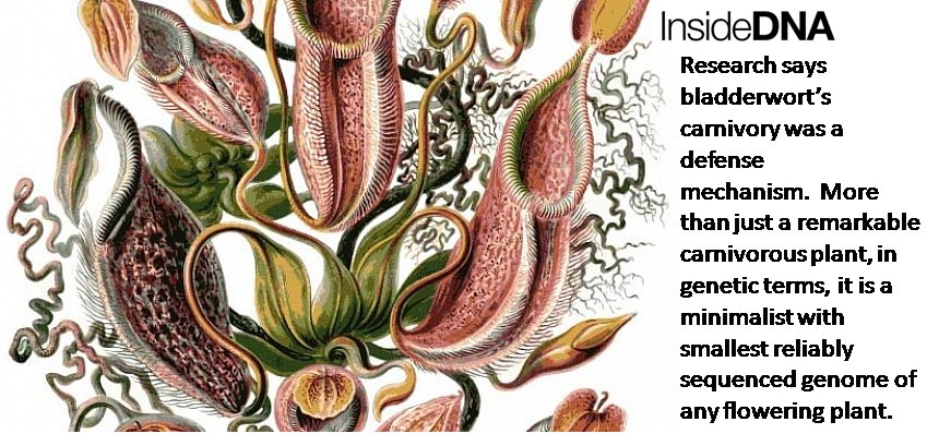 inside_dna's tweet photo. For all your #Bioinformatics #Genomics need https://t.co/UTGcntVdti https://t.co/hQIqEksZLb