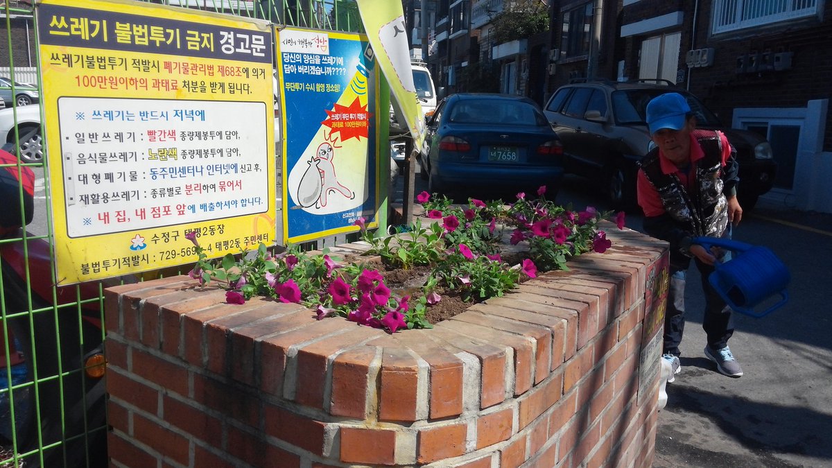 #성남시 #태평2동 생활쓰레기 불법투기지역을 중심으로
지속적인 관리를 철저히 하고 있습니다.    
오늘은 (9통)공영주차장 입구, 무단투기지역에 계절꽃을 심었습니다
  생활쓰레기는 내 집앞에 내놓는
성숙한 시민의식을 보여주세요. ^^*♥