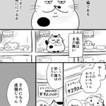 この組み合わせもあり？おじさまと猫の出会い方がいい!