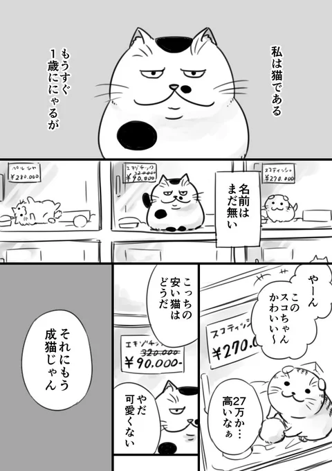 【猫漫画】おじさまと猫 