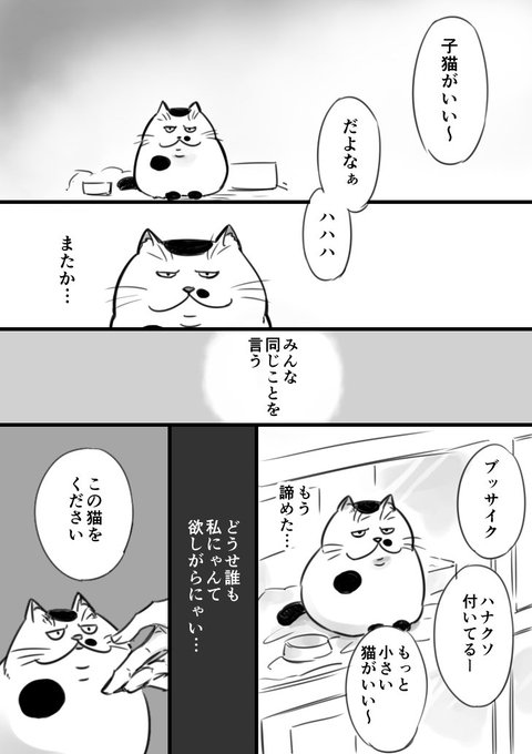 Snsで人気 無料で読める猫漫画 書店で買えるオススメ猫漫画10選 猫の総合情報サイト ペットスマイルニュースforネコちゃん