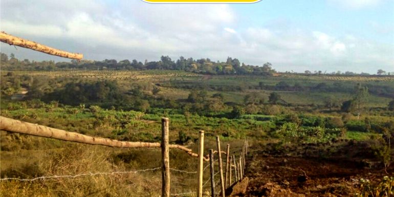 afrihome's tweet photo. Two Serene 1.5 Acres Prime Land For Sale Near Kiboko Estate, Thika Town each with title deeds

PRICE KSHS 46M per piece

CALL +254706801784 https://t.co/uWULBTQPVL