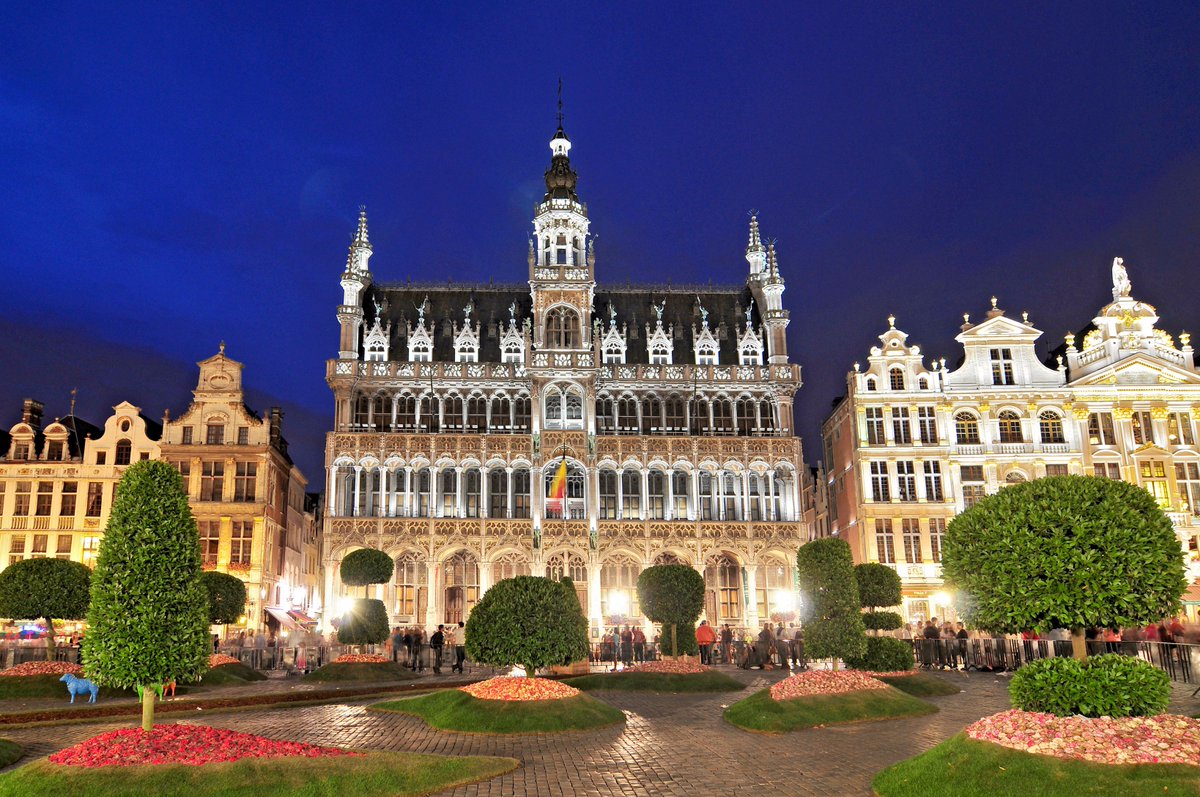 visitbrussels's tweet photo. Get your tickets for #FlowerNights and enjoy floral tastings &amp; #Brussels' City Hall decorated with 100.000 flowers https://t.co/1yjh2ZZ0Bp https://t.co/bmBq75XRLm