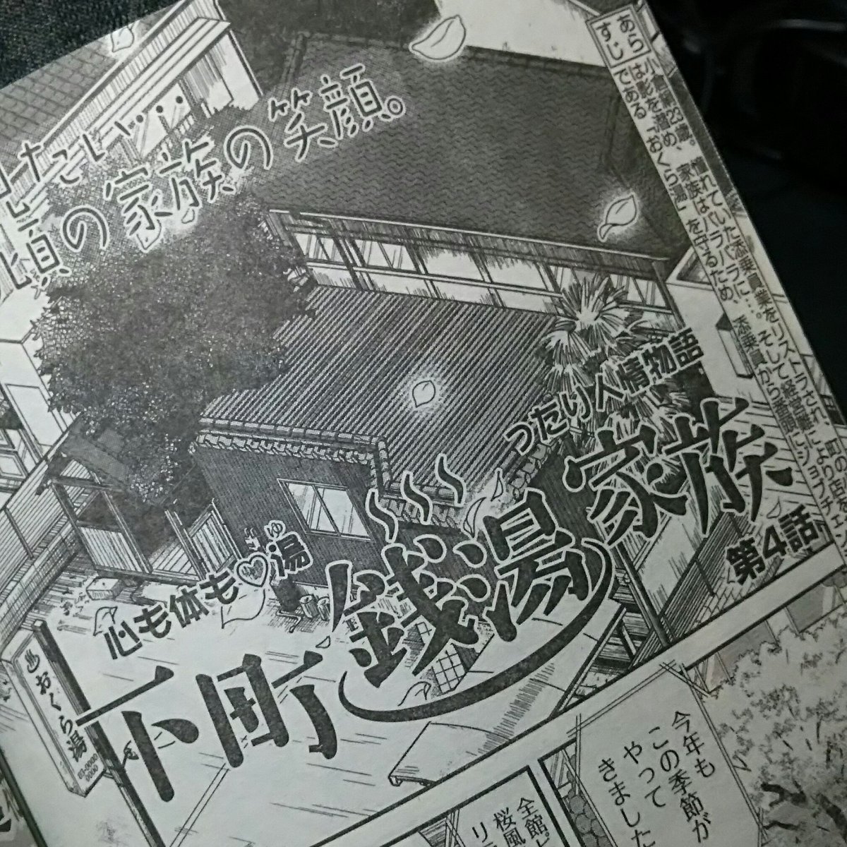 茶柱渋吉 茶柱渋吉