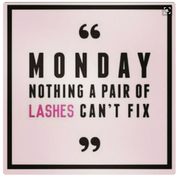 premierlash's tweet photo. #mondaymotivation #volumelashes #lashgamestrong #onfleek #lashboss #wakeupbeautiful #healthylashes #lashfordays #fulllashes #lashaddict https://t.co/tmbJnnAeBE
