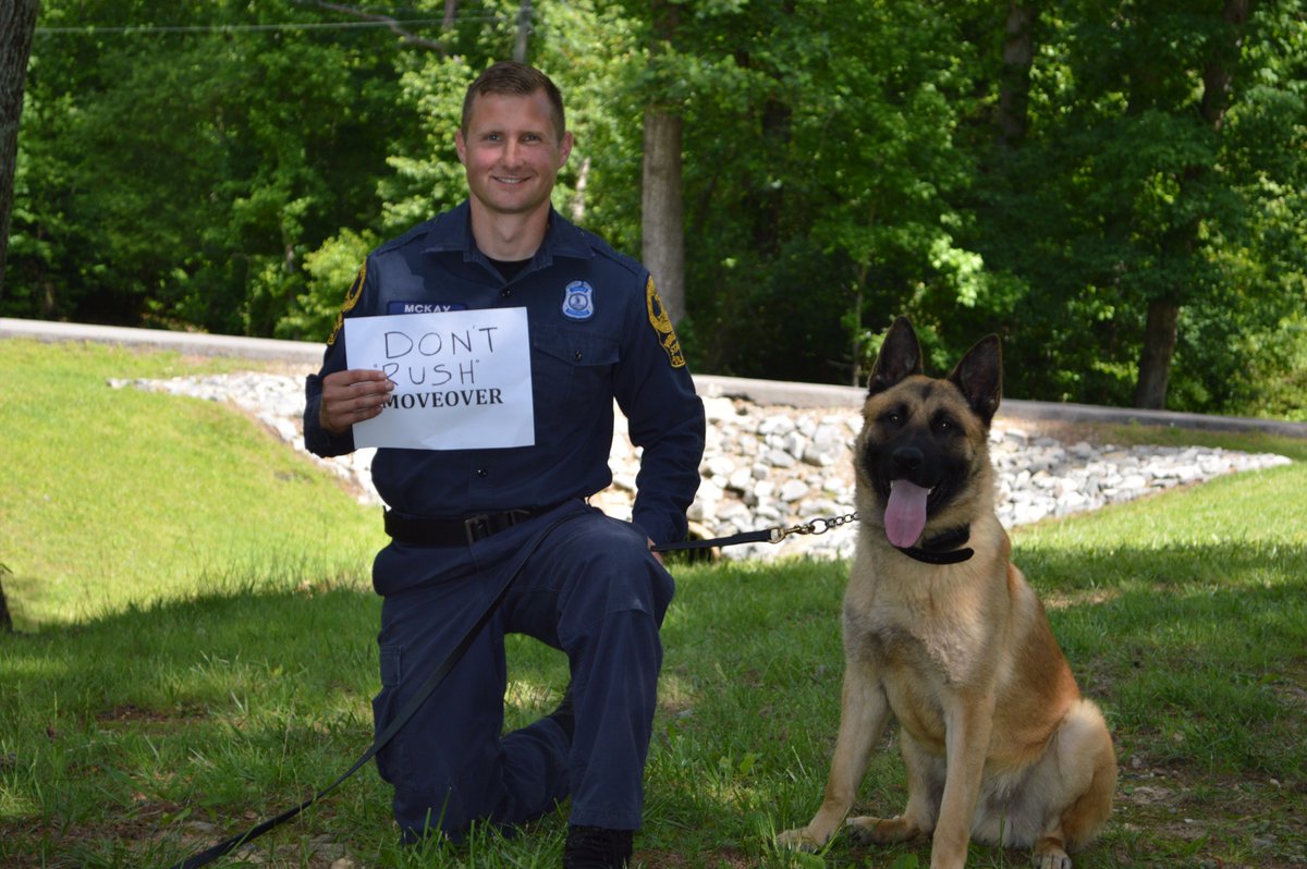 VSPPIO's tweet photo. June is #MoveOverVA Awareness Month in VA! K9 Rush &amp; Trp. McKay hope you'll follow this good advice: "Don't Rush! Move Over." #MoveOver17 https://t.co/gAOpbEfn8A