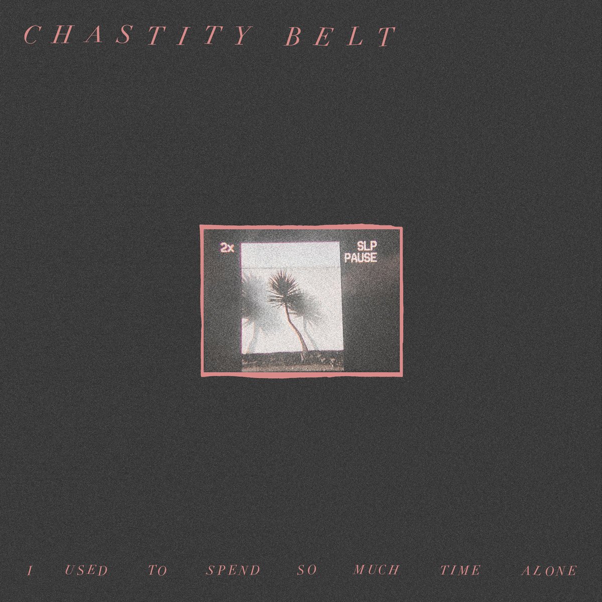 ottawalifers's tweet photo. We take a look at new releases from @CHAST1TYBELT, @BunniesMusic, @bleachersmusic, #Telecomo and @bennybookmarks: https://t.co/V0ZCbDVHtD https://t.co/7DrcPVlYey