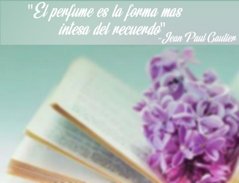 TopBrands9's tweet photo. ¡Te traemos esta linda frase para esta semana!💋💄
@Top__brands #fomal #fashionBlog #Estilo #beautiful #me #follow https://t.co/FblyVSKPwT