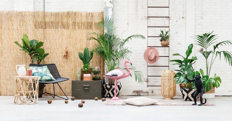 interieuronline's tweet photo. Tuintrend Tropische jungle | #Tuintrends | Tuin https://t.co/4i5pL0q2v7 https://t.co/f6k1dUX506