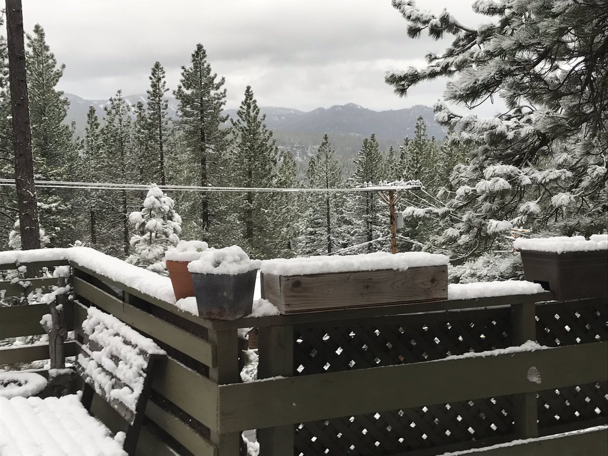 perfectlooppro's tweet photo. Nice surprise to wake up to. @weatherchannel #SnowInJune #CaliforniaDreaming https://t.co/tRkSOpG0bF
