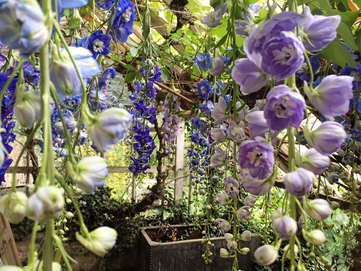 Miller_Harris's tweet photo. The Miller Harris In Bloom campaign is launching its second fragrance, Cœur de Jardin, a beautiful fruity-floral scent #MillerHarrisInBloom https://t.co/chjQj5rCLr