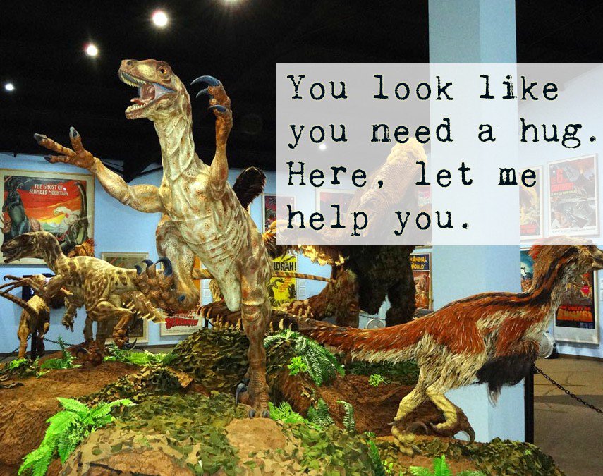 iamnicedino's tweet photo. You look like you need a hug. Here, let me help you. #nicedino https://t.co/j00EG8tPcP