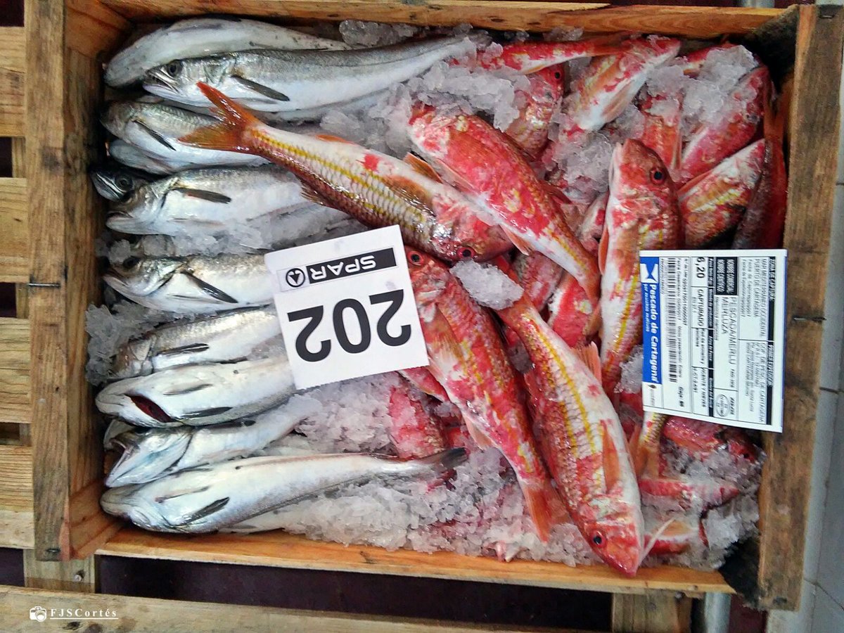 Pescado de Cartagena tweet media