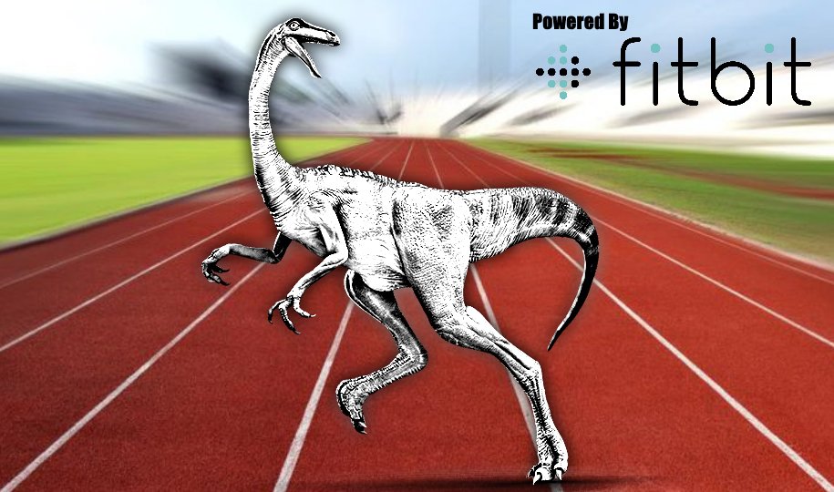 hosnovan's tweet photo. HOCO Fitness: The Beginning https://t.co/JfruBnWmyy https://t.co/X42i2KzVa5