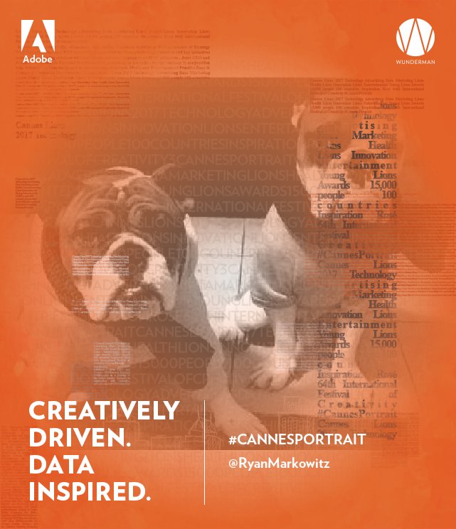 michib_123's tweet photo. Even @ryanmarkowitz's puppies got their own #CannesPortrait! https://t.co/Lv0JsrHnOH