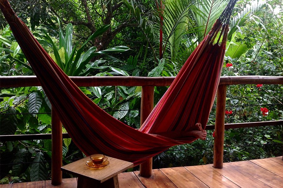 All you need is love... and a cup of coffee and a hammock in the jungle;)
#CoffeeCoffeeCoffee #JungleLove