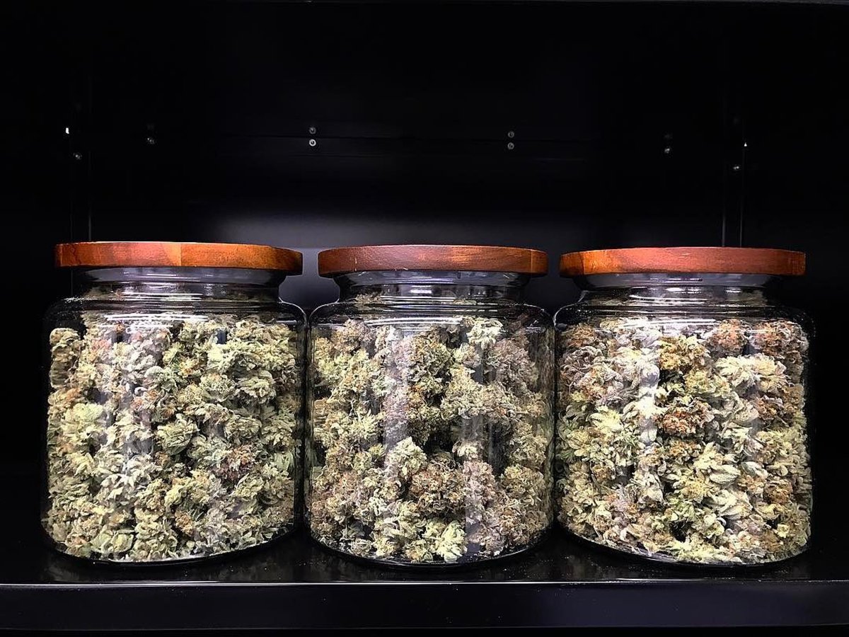 We'd definitely sneak a cookie or two from <a href="/HouseofCultivar/">House of Cultivar</a>'s cookie jars. 😉🍪 #BudHut
