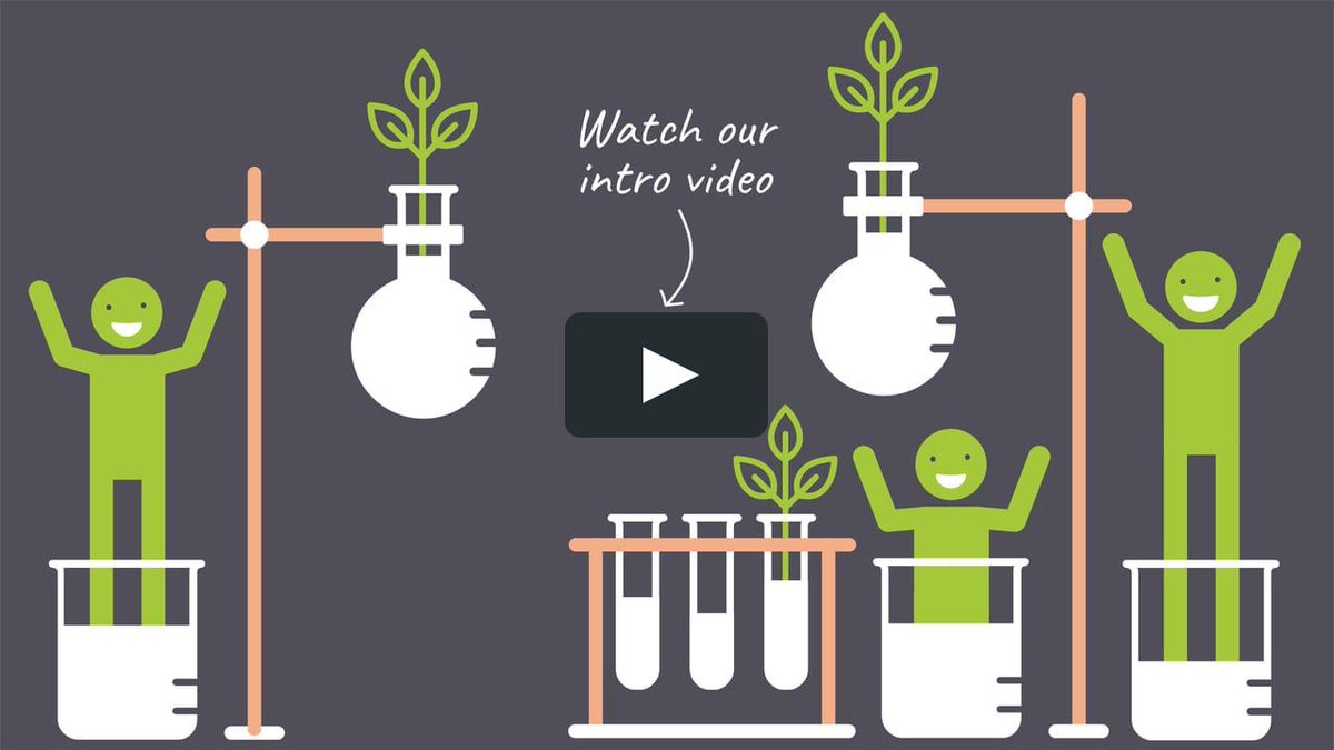 The Action Lab tweet media