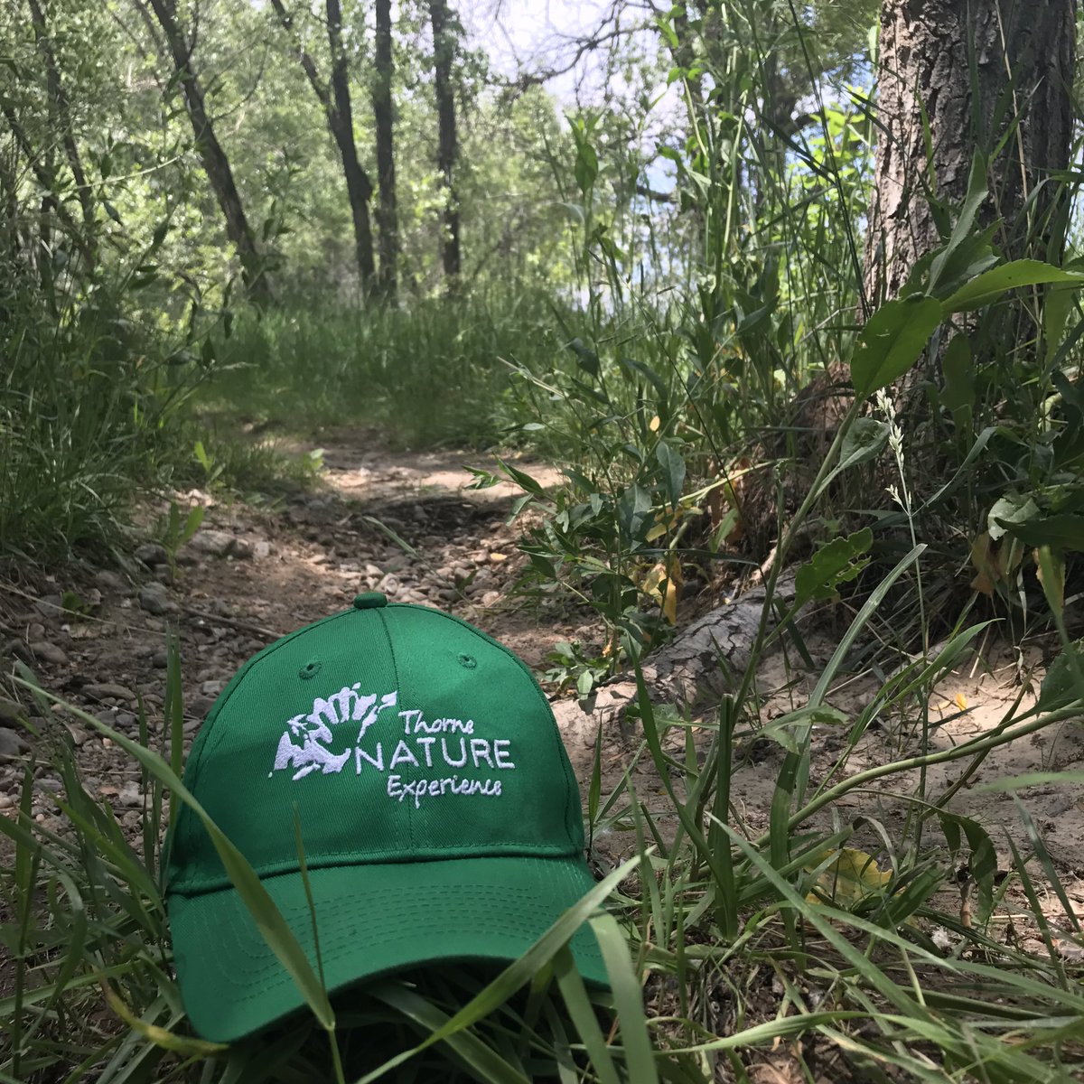 Thorne Nature Experience had a great time with last weeks campers, but we can't wait to see what this weeks campers have in store!😄☀️🍃