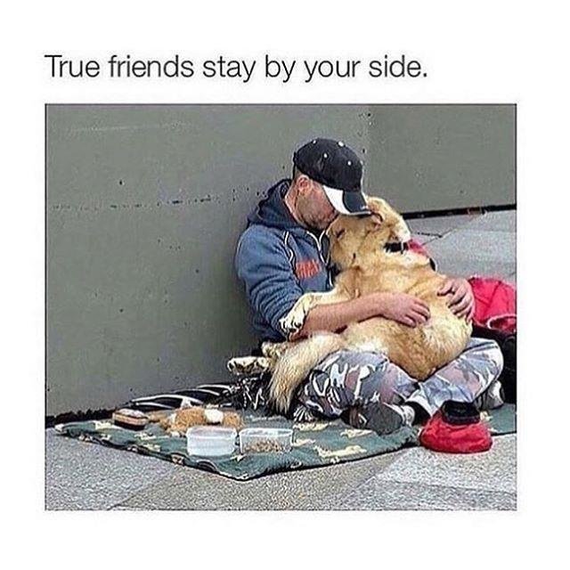 FindDailyQuotes's tweet image. 