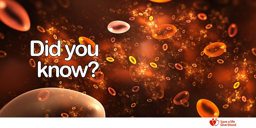 GiveBloodNHS's tweet image. 6% of donated red blood cells go to pregnant women who need blood transfusion e.g. during or after childbirth. ow.ly/f20L30cwjsj