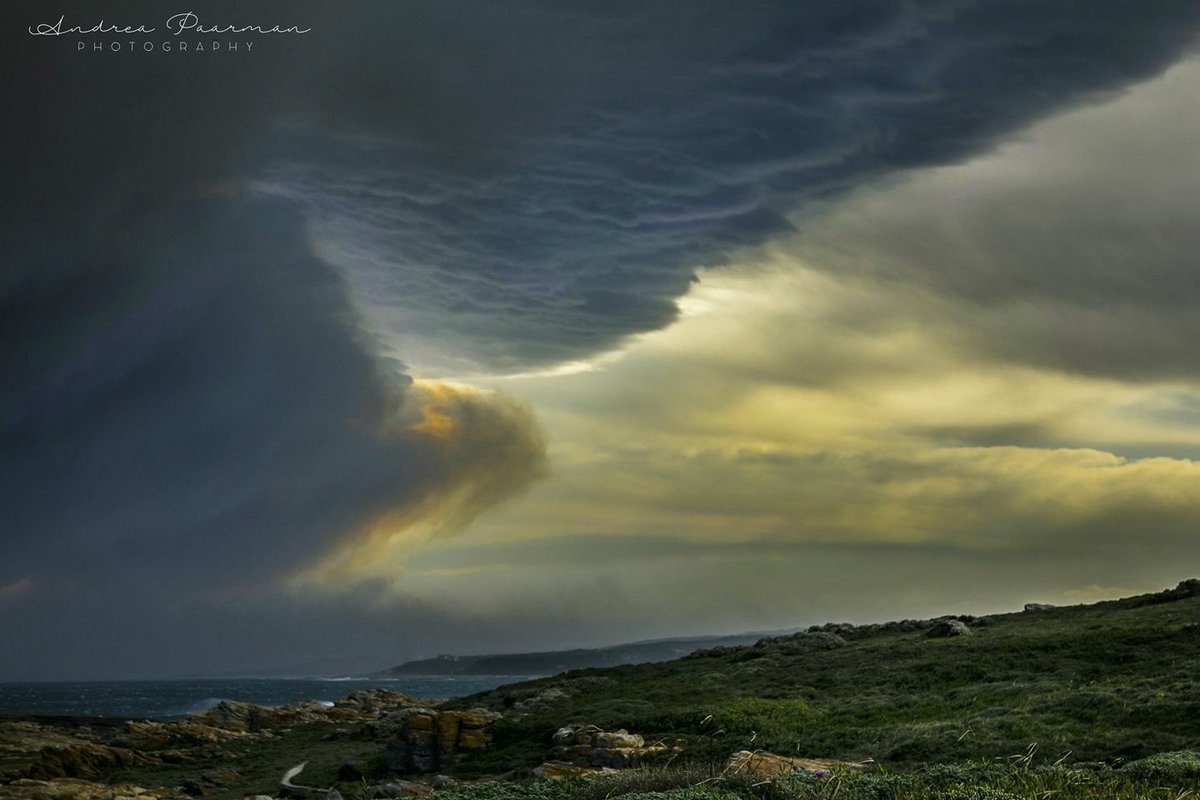 jozi117's tweet photo. Smoke and storm clouds all wanting their piece of sky.....#capestfrancis #PEFire #KnysnaFire Pic by Andrea Paarman via Facebook https://t.co/OSJWNdBeQ2